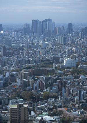 あらゆる角度から調査と最善の修理をする